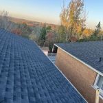 Top Art Roofing Ltd