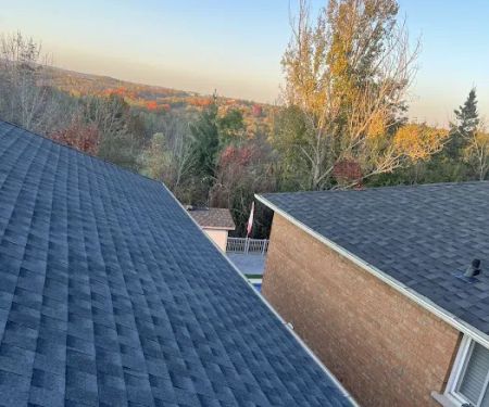 Top Art Roofing Ltd