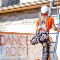 Bluemoon Roofing ico