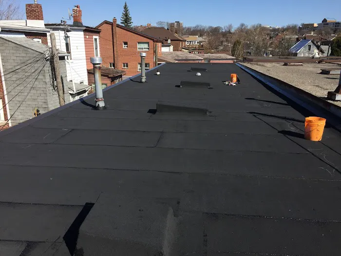 The Roofers Picture 5