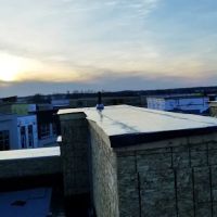 Golden Phoenix Construction Inc ico
