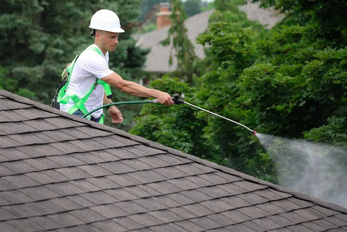 RoofLife Roofing Company Picture 5
