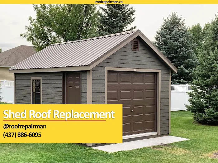 Roof Repair Man | Etobicoke Picture 4