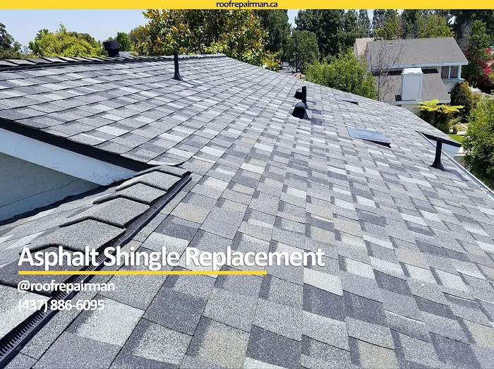 Roof Repair Man | Etobicoke Picture 7