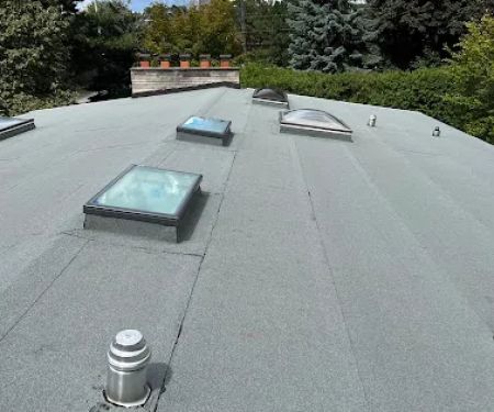 Delta Roofing Inc
