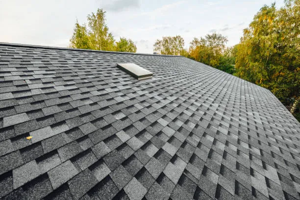 Delta Roofing Inc Picture 6