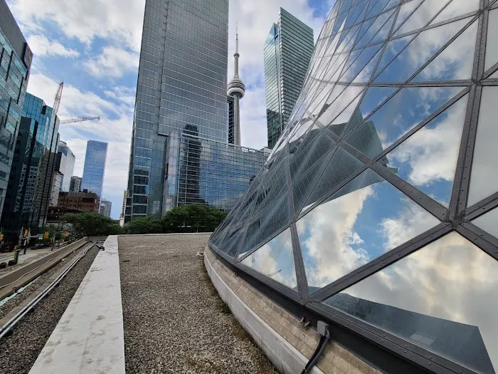 Canadian Roof Management Picture 2