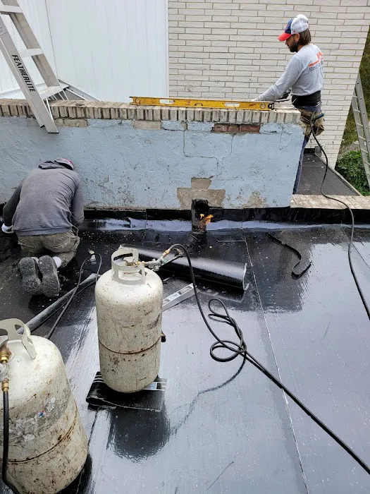 Best Flat Roof Picture 2