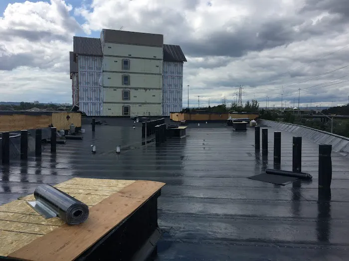 Best Flat Roof Picture 4