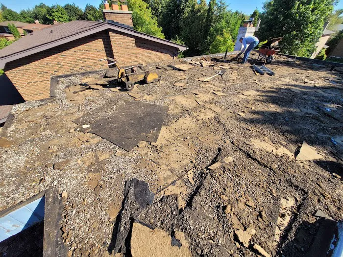 Best Flat Roof Picture 5