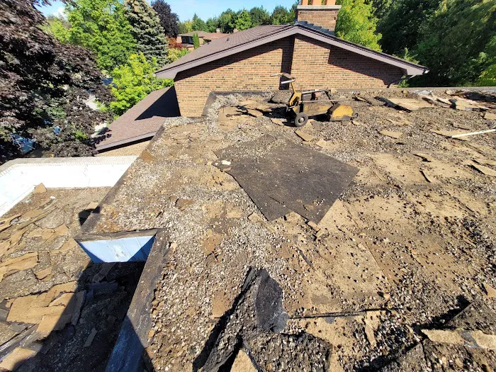 Best Flat Roof Picture 6