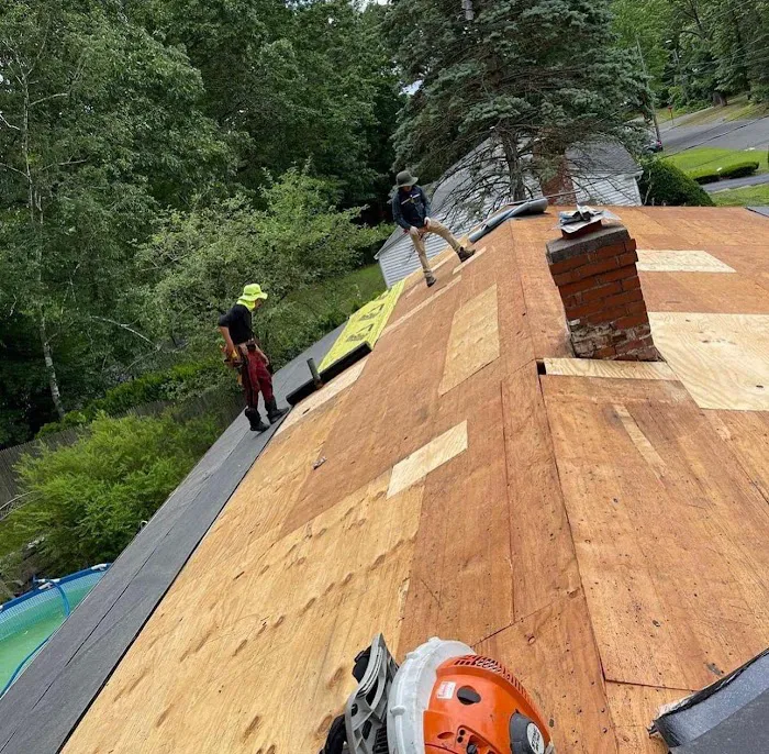 Professional Roofers Toronto Picture 5