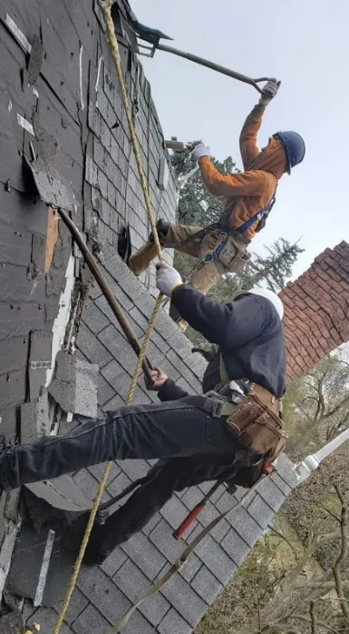 Sunshine Roofing Ltd Picture 3