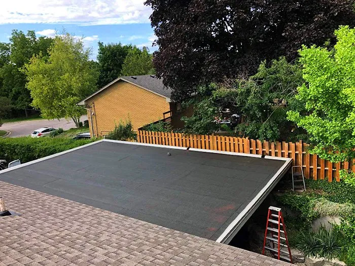 Roof and roll Picture 1