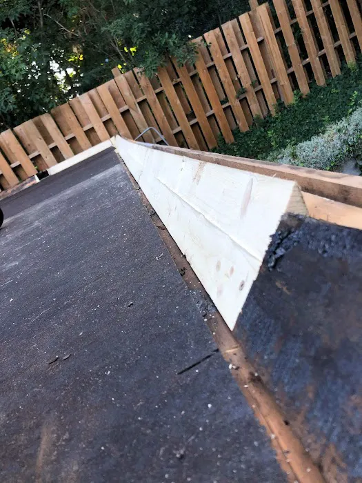 Roof and roll Picture 3