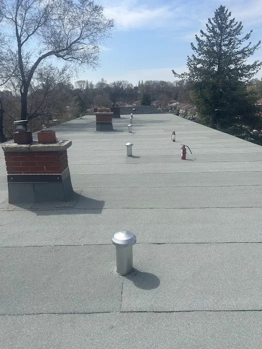 Valad roofing Picture 9