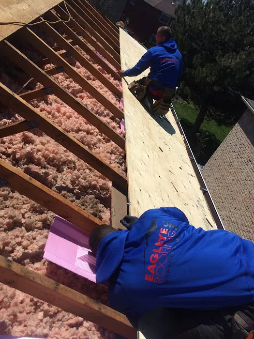 Eagleye Roofing Inc. Picture 1