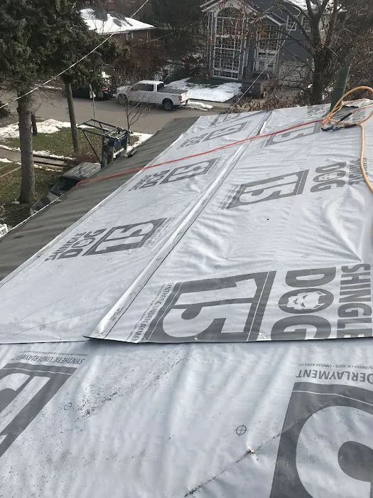 Toronto’s Roof Doctor Picture 2
