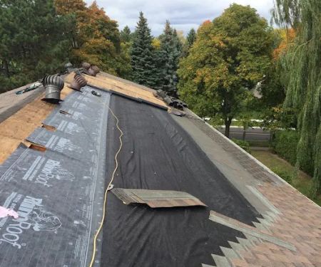 Torontou2019s Roof Doctor