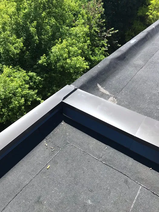 Destiny Roofing Picture 3