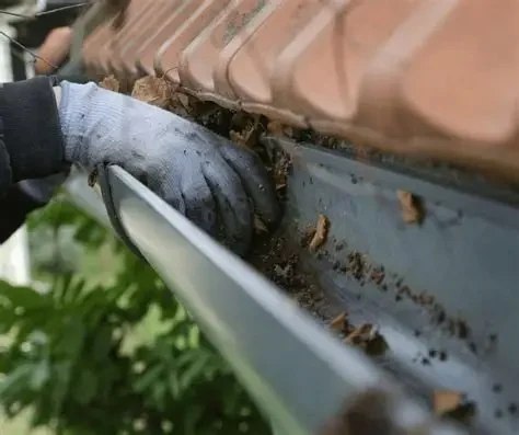 How to Clean and Maintain Your Gutters for Roof Health in Canada