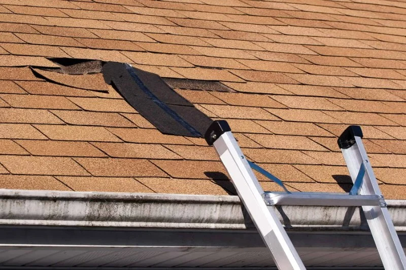 Top Signs Your Roof Has a Leak and What to Do About It in Canada