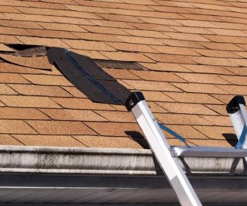 Top Signs Your Roof Has a Leak and What to Do About It in Canada