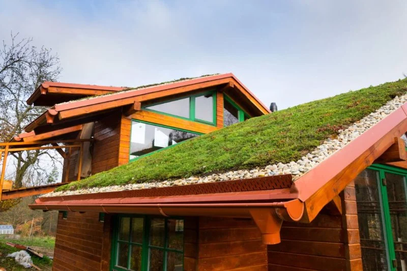 Green Roofing Options in Canada: Are They Worth It?