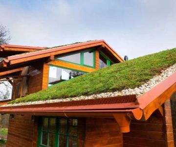 Green Roofing Options in Canada: Are They Worth It?