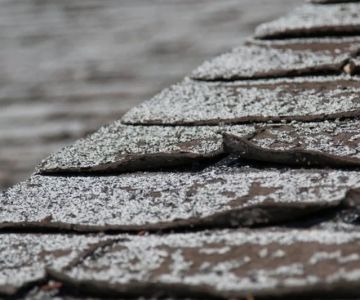 What Does Roof Granule Loss Mean for Your Shingles?