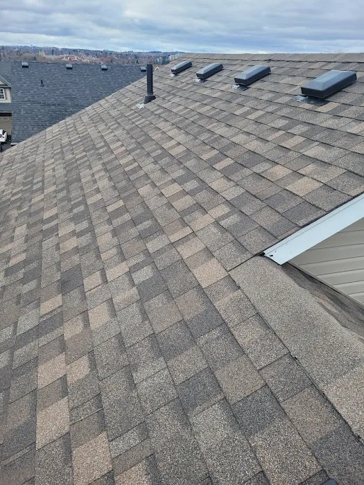 Swan Roofing Services Picture 10