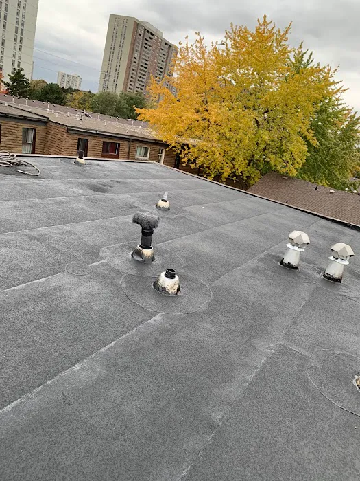T DOT Roofers Inc Picture 4
