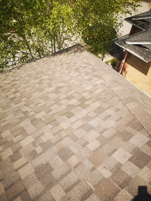 Elephant Roofing Inc Picture 6