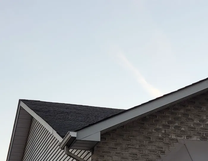Elephant Roofing Inc Picture 5
