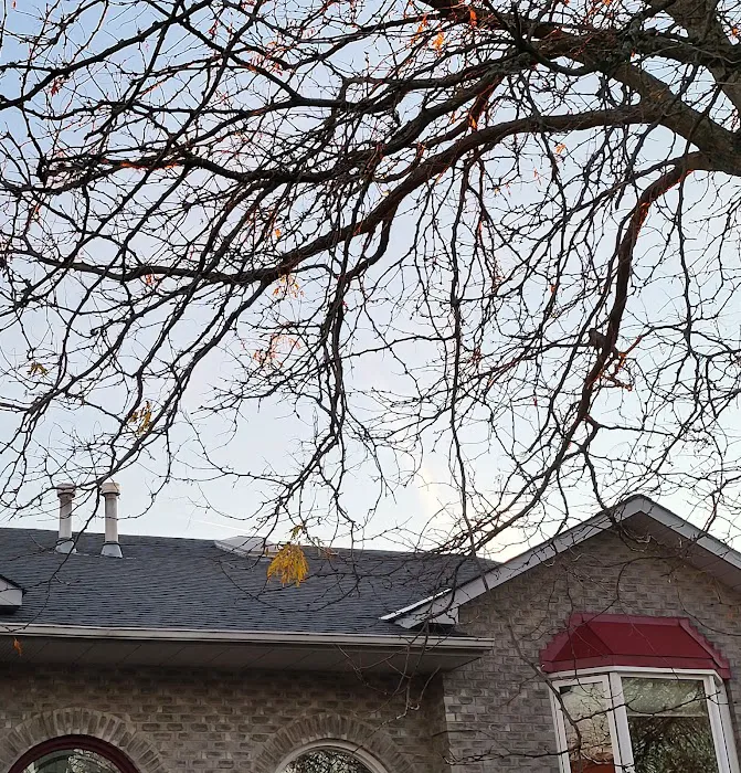 Elephant Roofing Inc Picture 10
