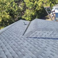 Maple shield construction ico