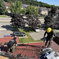 Next Desire Roofing Inc. ico