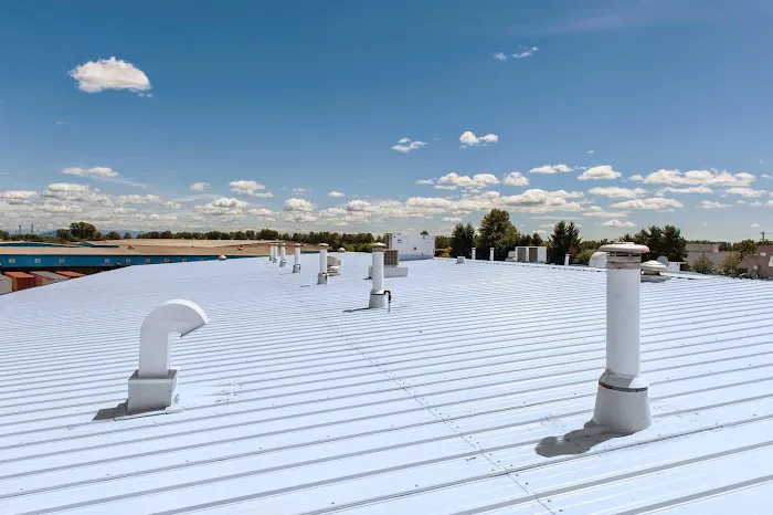 Detail Roofing Picture 6