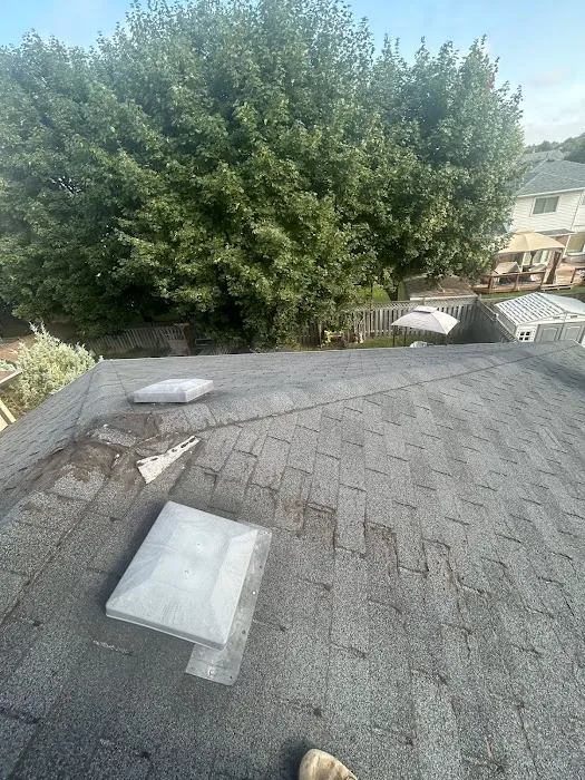 Ck Roofing Solutions Picture 11