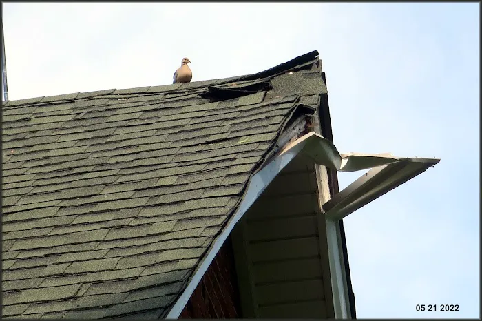 Roof Rescue Ontario Inc. Picture 4