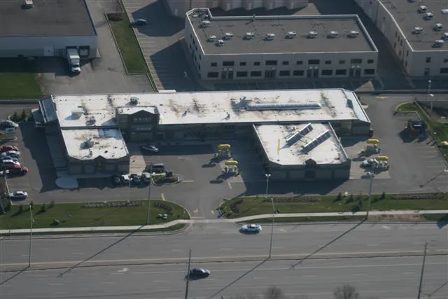 Guycan Ltd Picture 6
