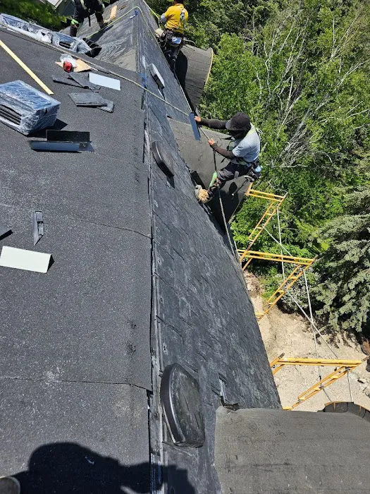 Chislett Roofing Ltd Picture 5