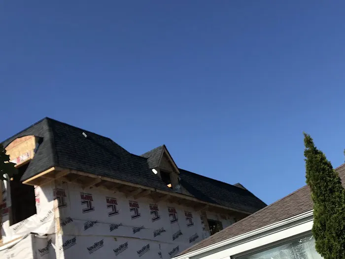 Built Roof Picture 3