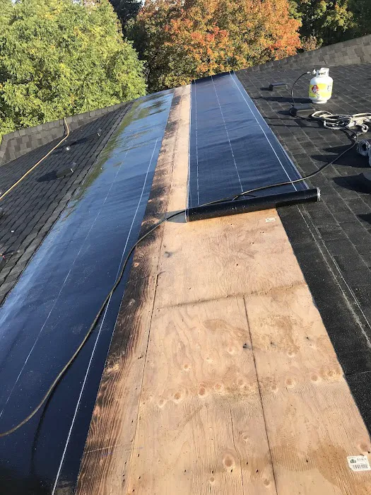 Built Roof Picture 7