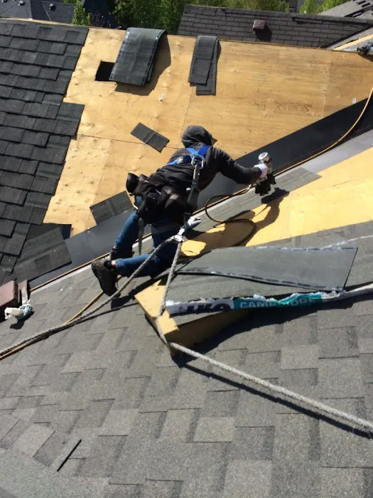 Built Roof Picture 10