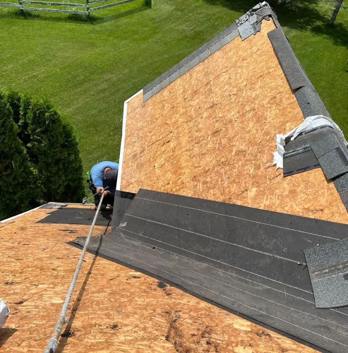 ELSA Roofing Picture 1