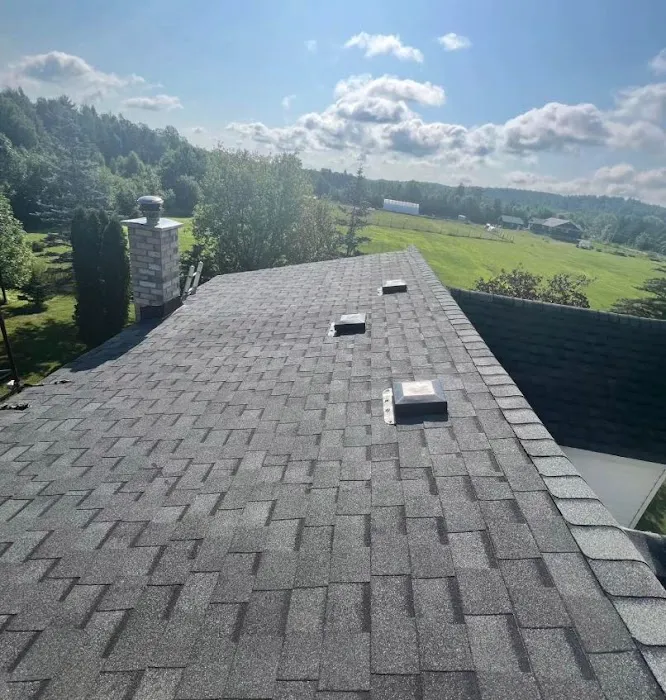 ELSA Roofing Picture 2