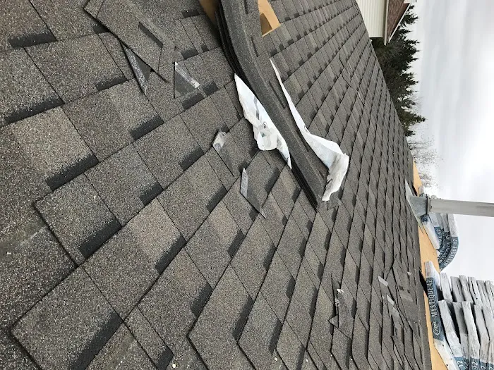 Runda Roofing Inc Picture 3