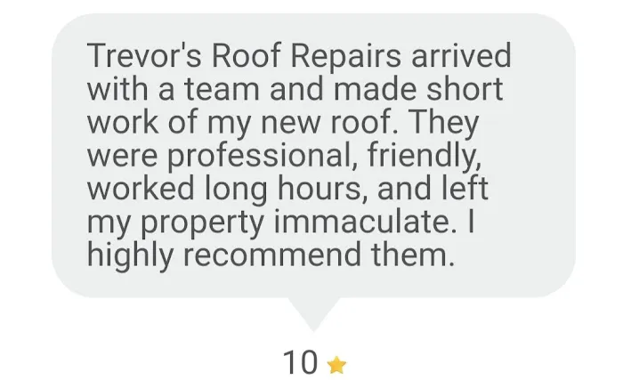 Trevor's Roof Repairs Picture 5