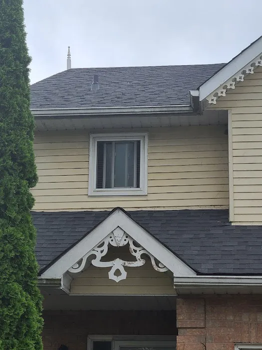 Elsa Roofing Picture 1